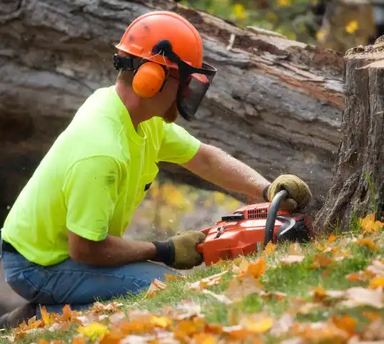 tree services Singac